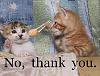 Click image for larger version. 

Name:	nothankyou..jpg 
Views:	174 
Size:	95.4 KB 
ID:	1365
