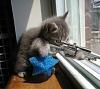 Click image for larger version. 

Name:	watch..jpg 
Views:	213 
Size:	28.5 KB 
ID:	1552
