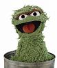 Click image for larger version. 

Name:	Oscar+the+Grouch.jpg 
Views:	125 
Size:	419.2 KB 
ID:	4676