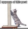 Click image for larger version. 

Name:	funny-pictures-cat-scratches-post.jpg 
Views:	174 
Size:	12.5 KB 
ID:	2664