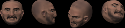 3D Puck heads