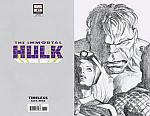 Immortal Hulk #37 Ross Timeless Sketch Variant